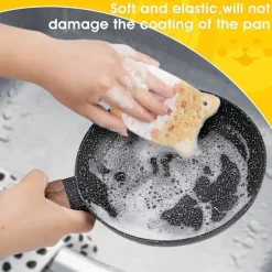 Outlet Komprimerade Cellulosa Köksvampar, 4-pack, Anti-Repiga Glas