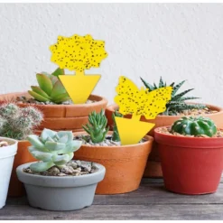 Best Mordely Flugfångare / Flugfälla / 20 pack Bi