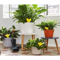 Best Mordely Flugfångare / Flugfälla / 20 pack Bi