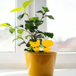 Best Mordely Flugfångare / Flugfälla / 20 pack Bi