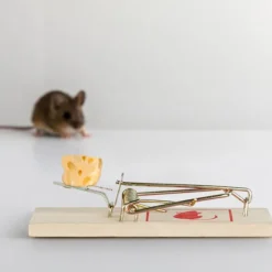 Clearance B2X Musfälla träset med 40 st