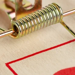 Clearance B2X Musfälla träset med 40 st