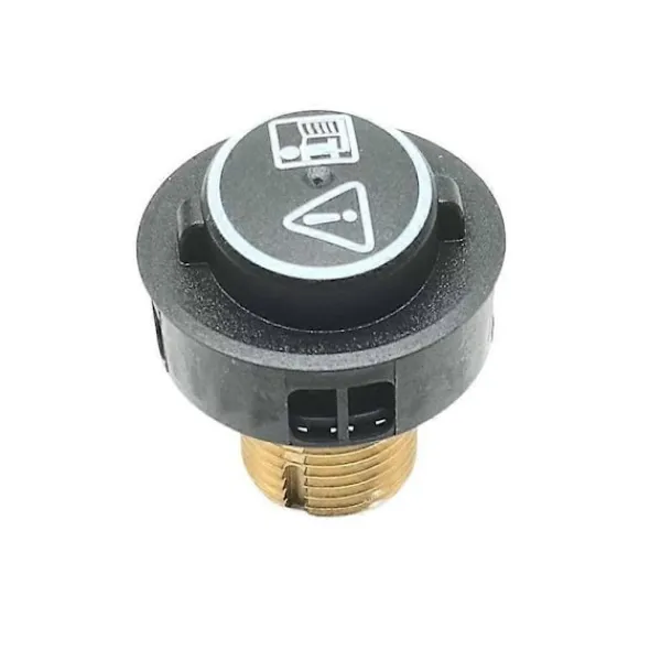 Online Ångtvätt Tanklock Ersättning för SC4 SC5 Dammsugare Säkerhetsventil Pannlocksdelar 4.580-760.0