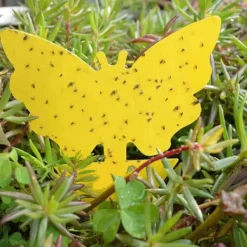 New 100-pack - Flugfälla / Flugfälla / Myggfångare - Fångar flugor Gul Yellow