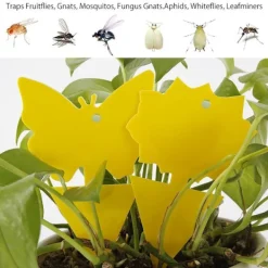 Clearance Generic 60-Pack - Flugfångare / Flugfälla / Myggfångare - Fångar flugor