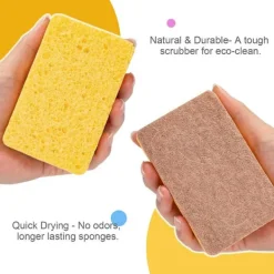 Discount 12-pack (brun) naturliga kökssvampar, biologiskt nedbrytbara och miljövänliga