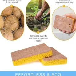 Discount 12-pack (brun) naturliga kökssvampar, biologiskt nedbrytbara och miljövänliga