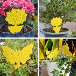 Online Megabilligt 20-pack Flugfångare - Flugfälla - Fjäril Gul