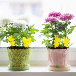 Hot 20-pack flugfångare - flugfälla - fjärilsgul