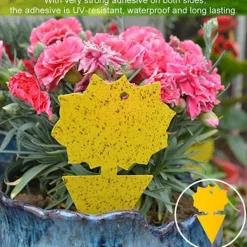 Outlet 60-pack Flugfångare - Flugfälla - Söt och effektiv FLY