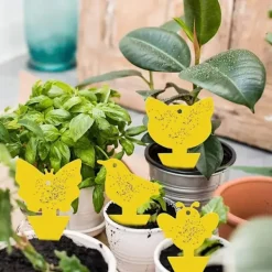 Clearance Mfour 20-pack Flugfångare - Flugfälla - Söta och Effektiva Katt