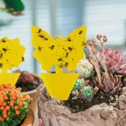 Clearance Mfour 20-pack Flugfångare - Flugfälla - Söta och Effektiva Katt