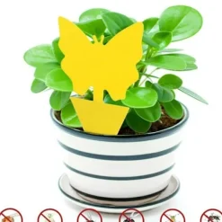 Clearance Mfour 20-pack Flugfångare - Flugfälla - Söta och Effektiva Katt