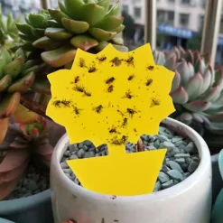 Online Otego 20-pack Flugfångare - Flugfälla - Söta och Effektiva FJÄRIL