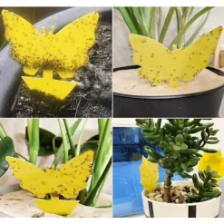 50-pack Flugfångare - Flugfångare - Vackra och effektiva