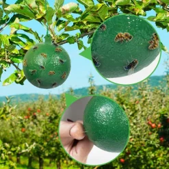 Best 4-pack flugfångare fruktfluga citrus stor fruktfluga klisterbräda fruktfluga boll fruktaffär fruktfluga klister nål bifälla (gul + grön)