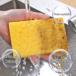 Clearance (10-pack) Naturliga Disksvampar, Återanvändbara Tvättsvampar - Komprimerad Trämassa Disksvamp Torkare Repfri