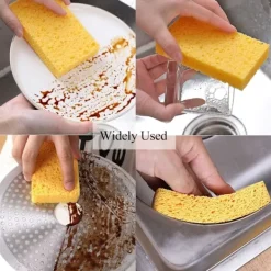 Clearance (10-pack) Naturliga Disksvampar, Återanvändbara Tvättsvampar - Komprimerad Trämassa Disksvamp Torkare Repfri