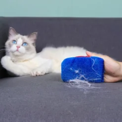 Sale Pälsborttagare för husdjur, hund- och katthårshandske och luddbortagningsborste, borttagning för kläder möbler bil soffa tröjor soffa matta fordon (2 st) | Fyndiq