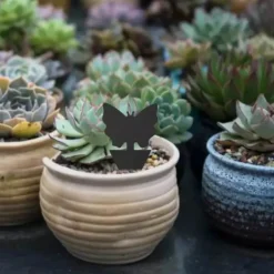 Online Floveme Praktiska Effektfulla Flugfällor / Insektsfällor (6-Pack) Fjärril