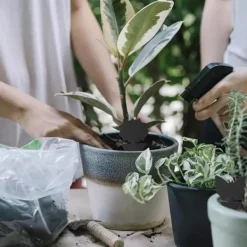 Online Floveme Praktiska Effektfulla Flugfällor / Insektsfällor (6-Pack) Fjärril