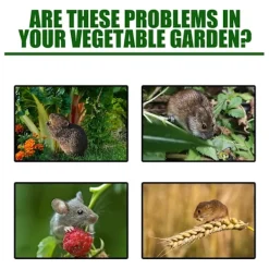 Clearance Råttgiftpiller Pack Rodenticid Trädgård Hushåll Bilmotor Råtta Ekorre Gnagare Avvisande 60pcs