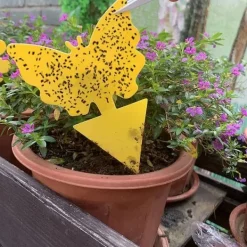 Discount RYI. 100-pack flugfångare / Klisterfälla