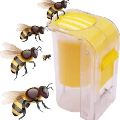 Outlet RYI-Drottningmärkningsflaska Enhandsmarkeringsflaska 1 st Plast Drottningbi