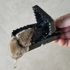 Outlet (Set om 4) Stora kraftiga råttfällor - Omedelbar död med kraftfull stålfjäder - Snabb installation - Handfri bortskaffning