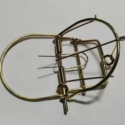 Spiralformad fälla i metall för utomhusbruk, för räv, rödlo, sork, skunk, myskoxe, kanin, skadedjursbekämpning, trädgårdsredskap, gyllene golden