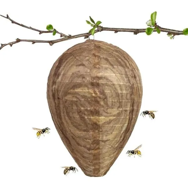 Best Otego 2st Getingfällor giftfritt lockbete av papper, avskräckande för bin - Getingbo Beige