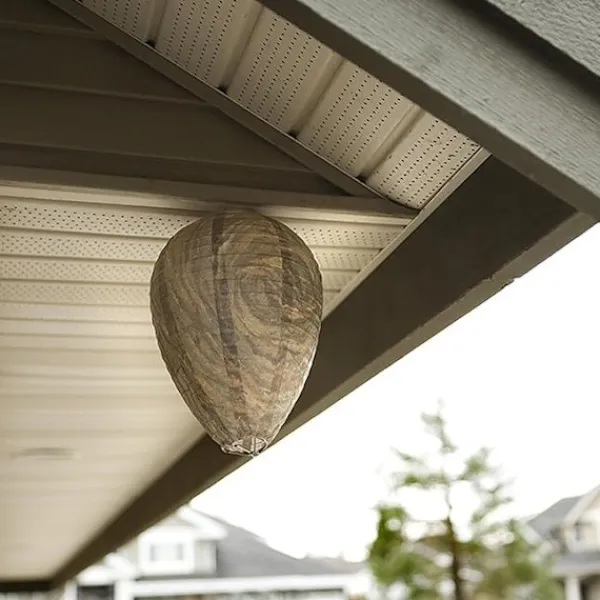 Best Otego 2st Getingfällor giftfritt lockbete av papper, avskräckande för bin - Getingbo Beige