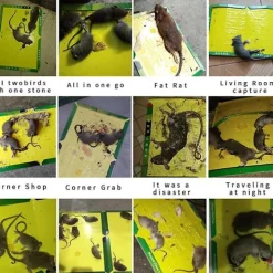 Discount Sticky Mouse Board Mouse Trap Sticky Board, Strong Stickiness, Mouse Trap 3 Packs