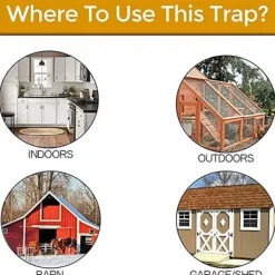 NeunWolken Traditionell musfälla - Musfälla gnagarefällor återanvändbar trä & hållbar skadedjursbekämpning