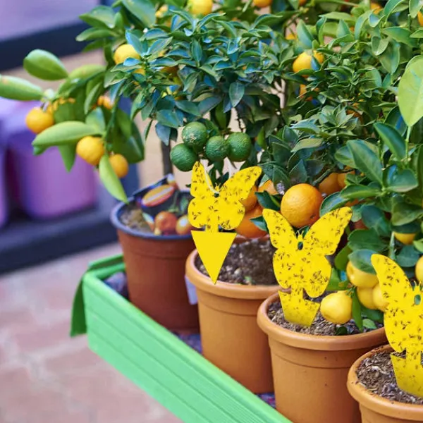 Best Generic 20X Flugfångare Klisterfälla Insektsfälla one size Gul