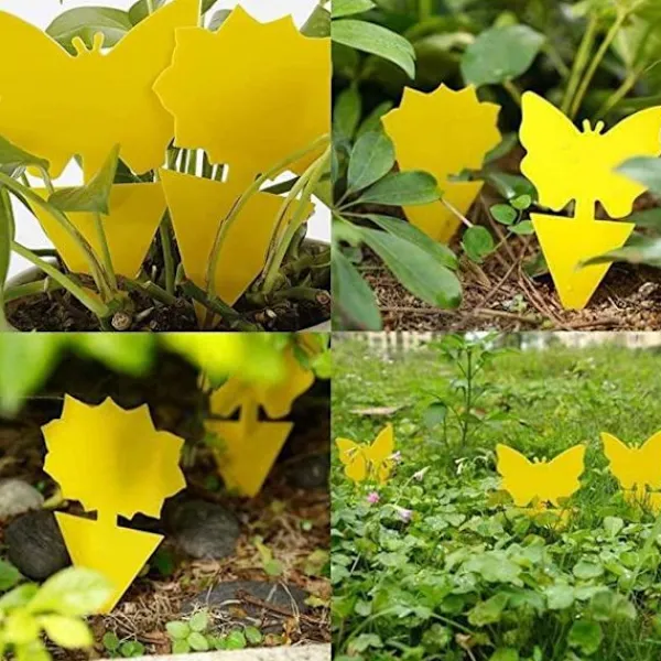 Best Generic 20X Flugfångare Klisterfälla Insektsfälla one size Gul