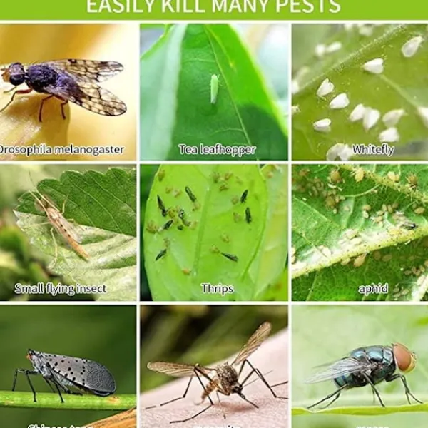 Best Generic 20X Flugfångare Klisterfälla Insektsfälla one size Gul